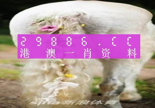 新闻 第72页