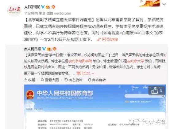 揭秘猫腻最新事件，深度解析与思考