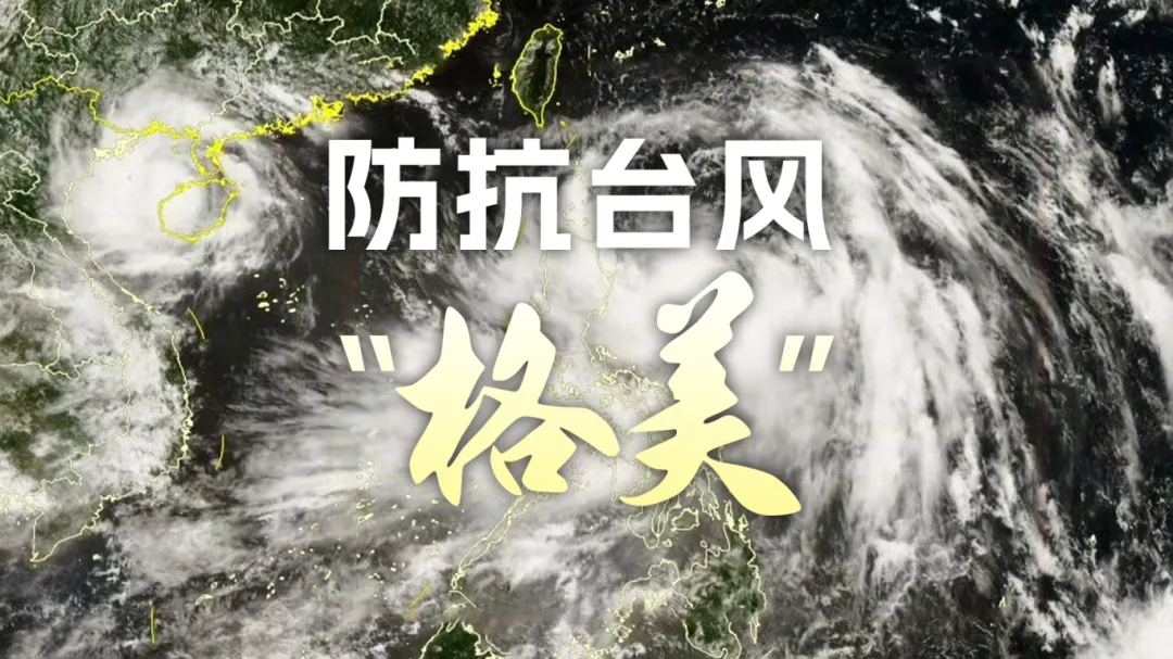 台风最新实时直播，风雨中的守护与关注