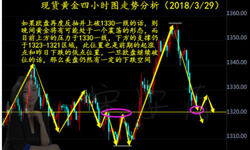 美元最新行情走势深度解析